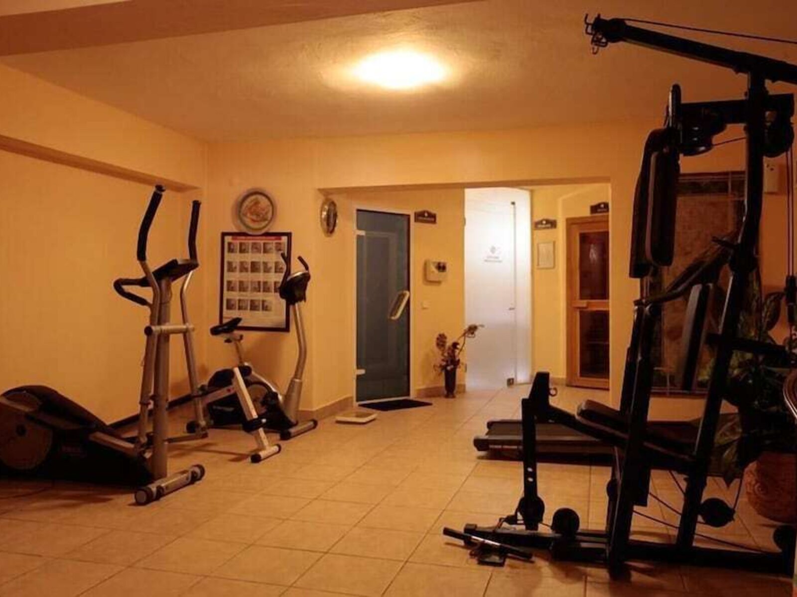 Sport