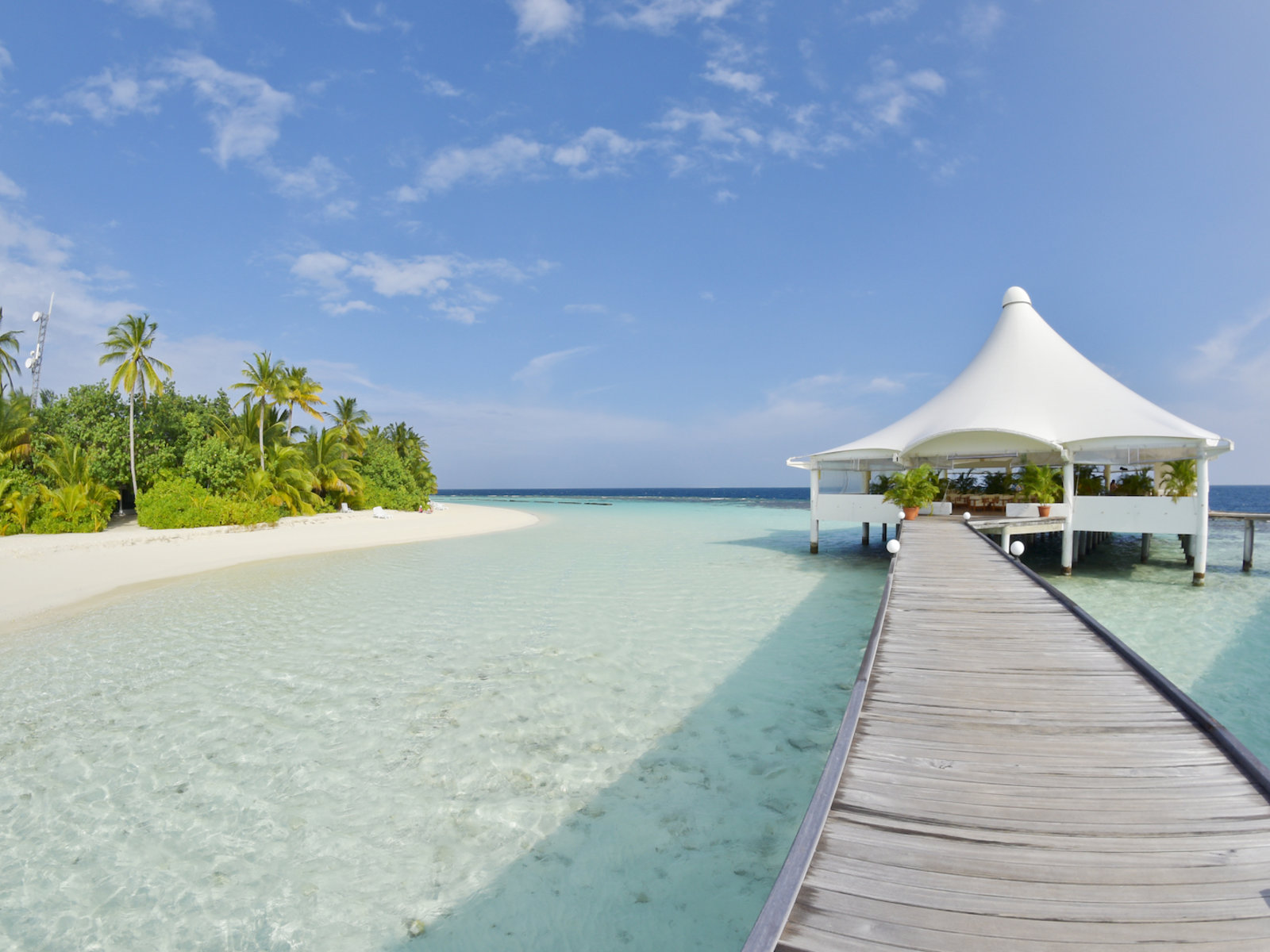Palm Bar