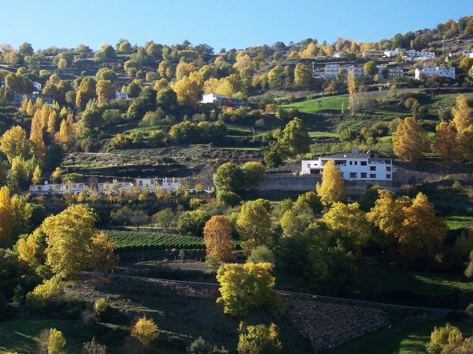 Landschaft