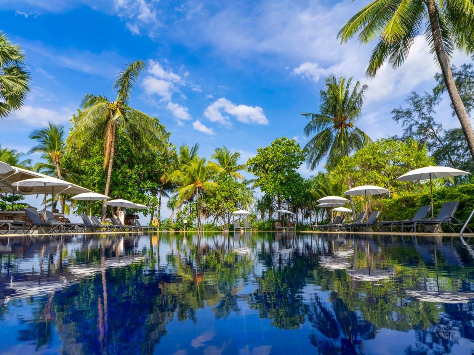 Swimming pool 1
