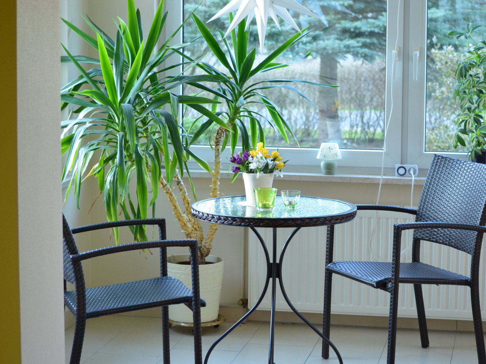 Wohnbeispiel Ferienwohnung