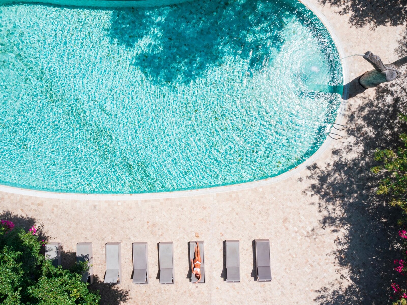 Piscina Ficus