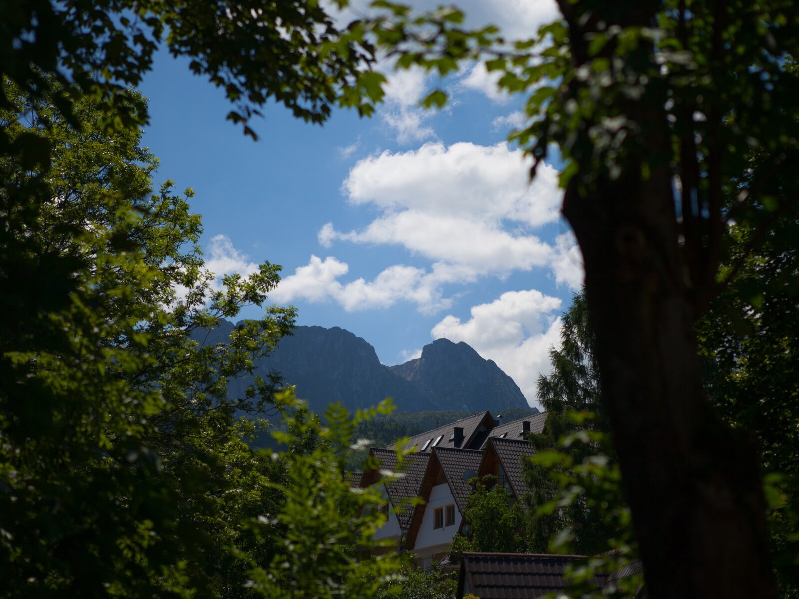 Landschaft
