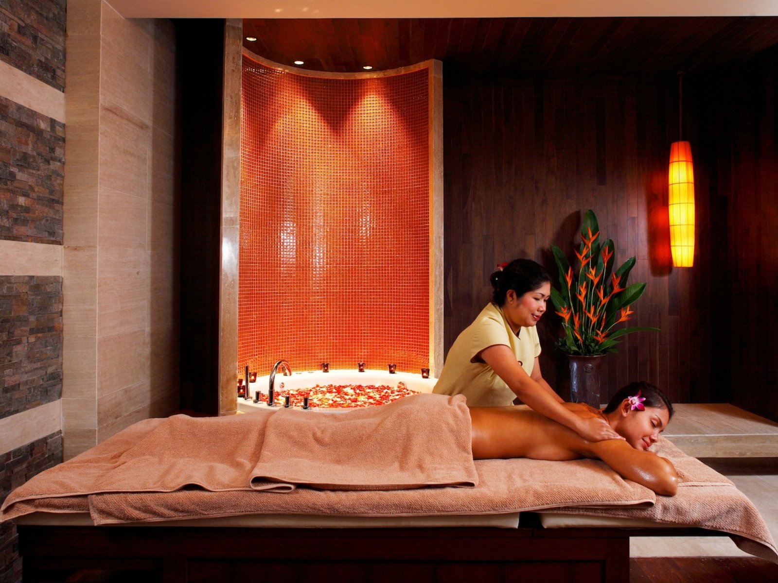 Wellness