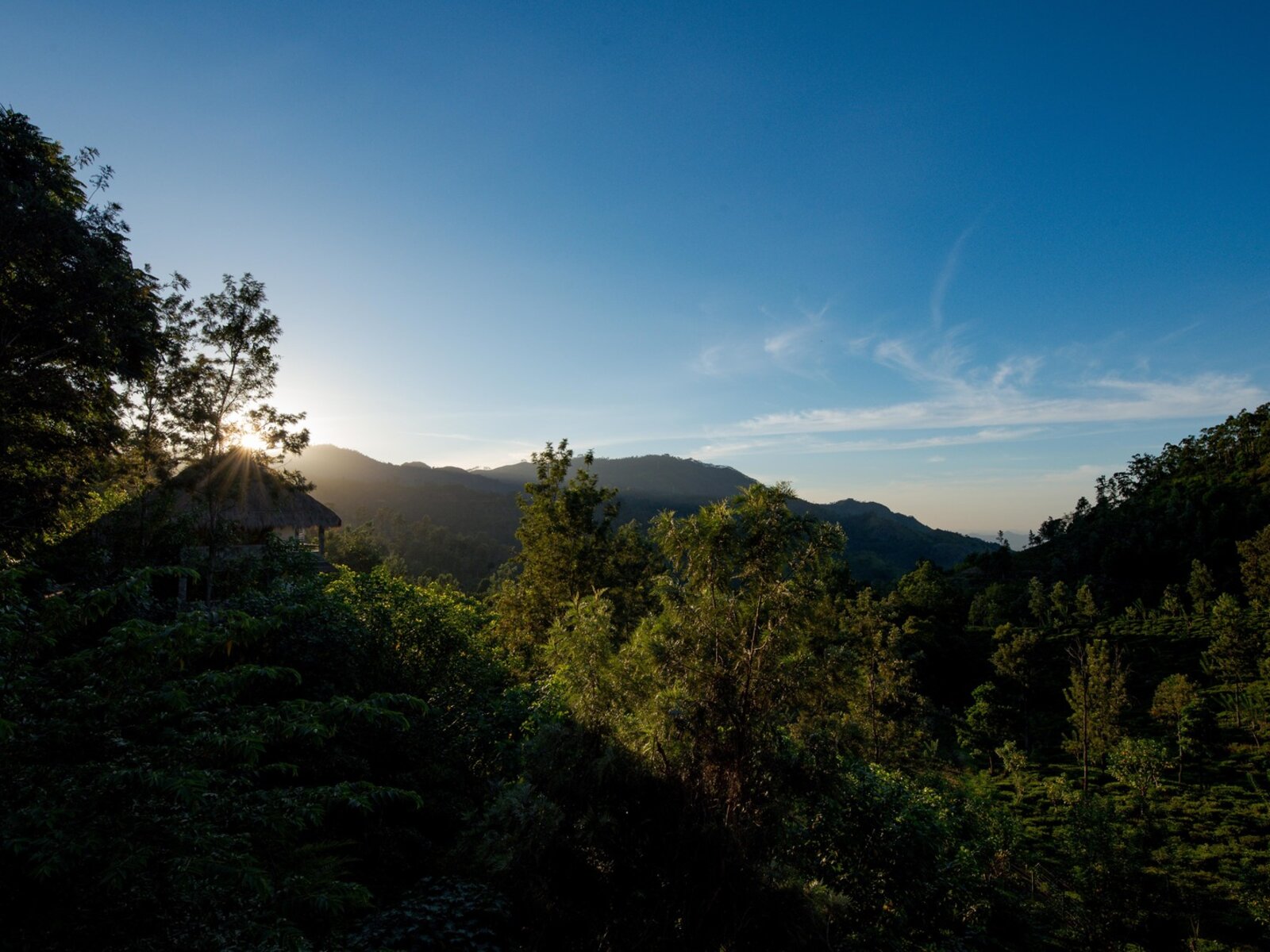 Landschaft
