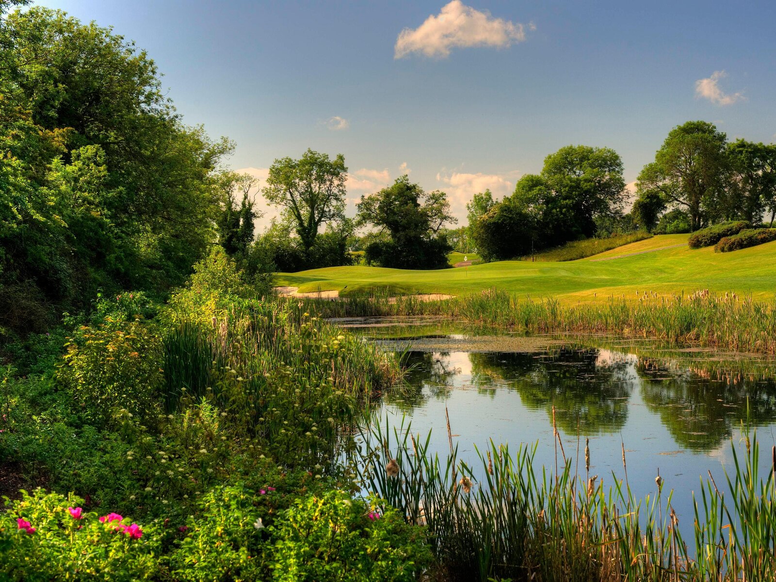 Landschaft