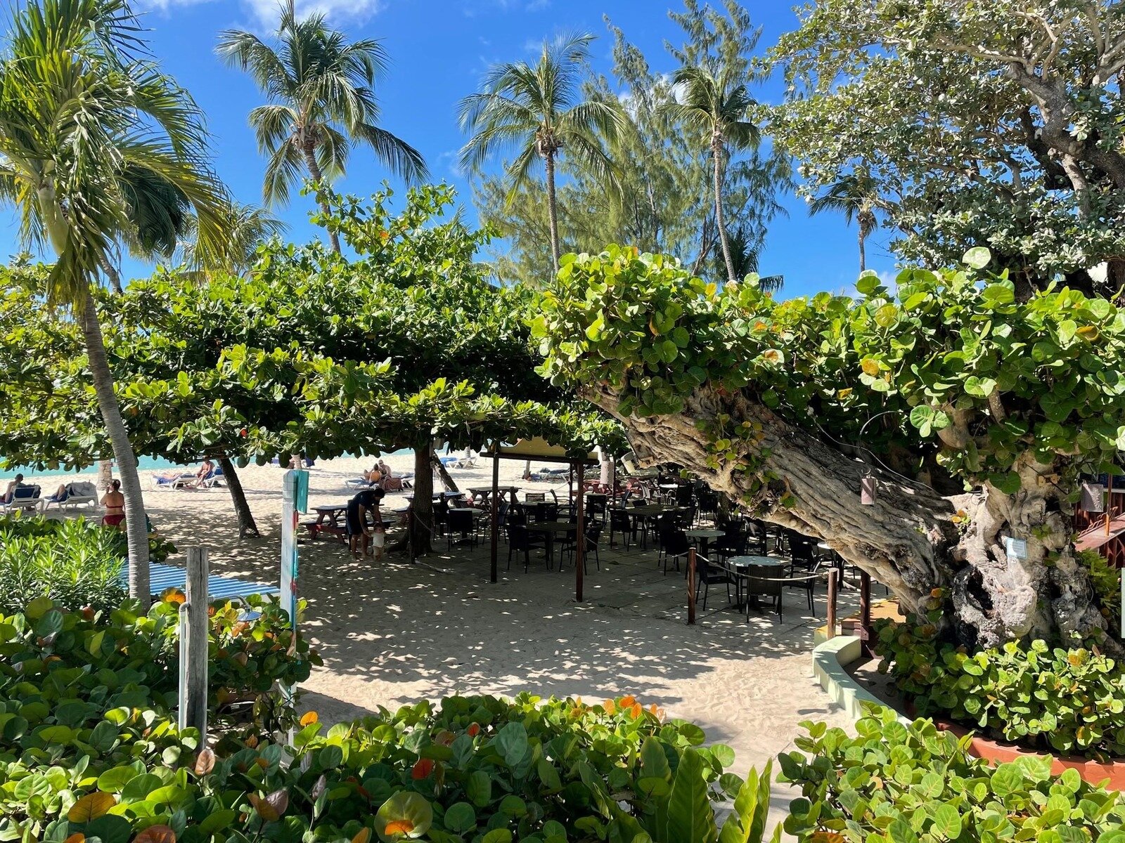 Captain Charlie's Beach Bar