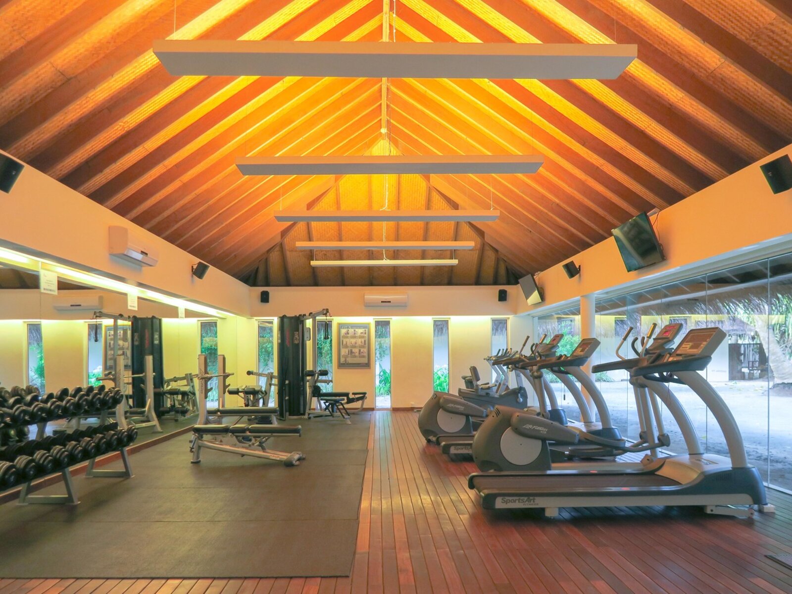 Sport