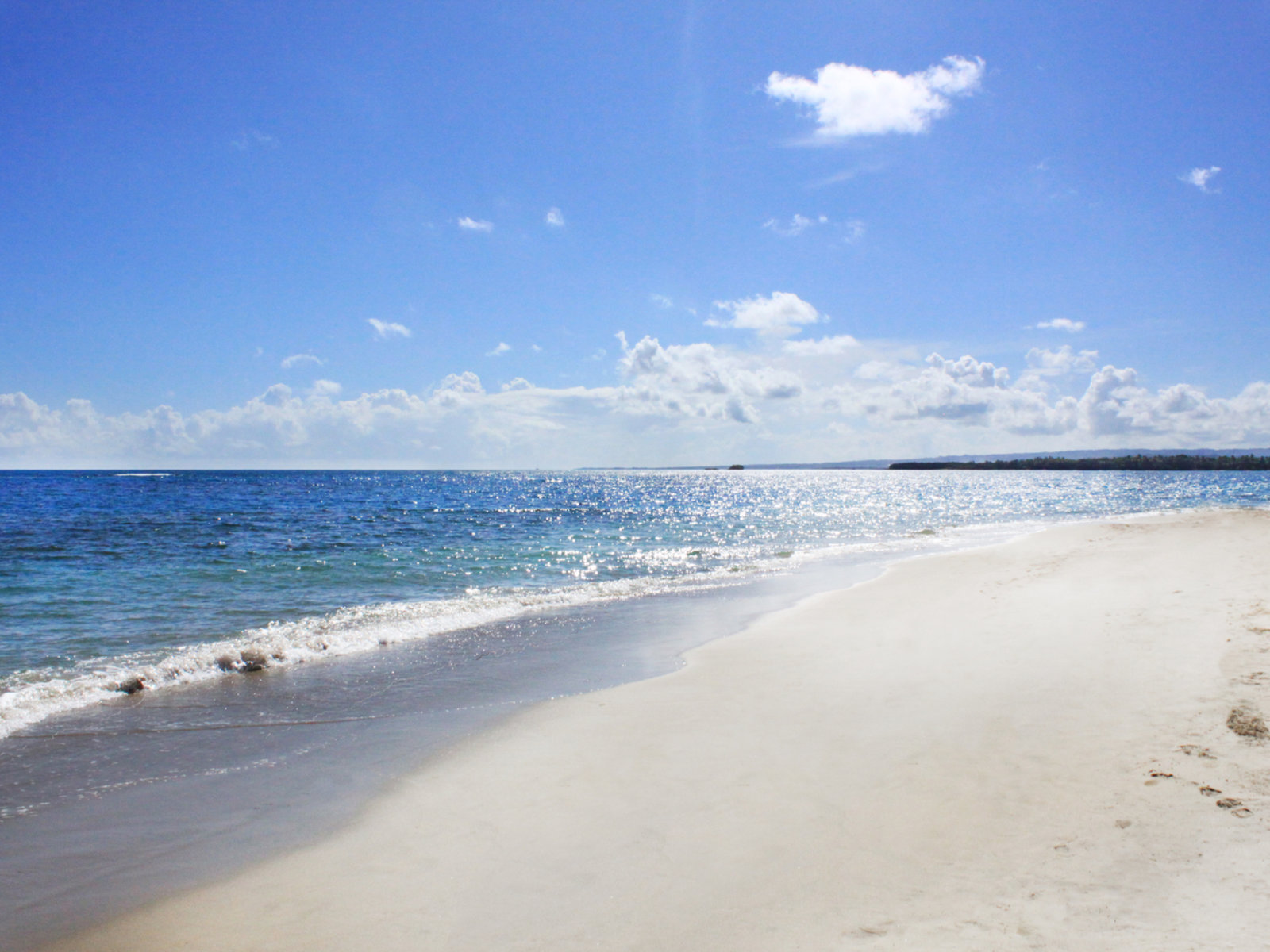 Playa Dorada Beach