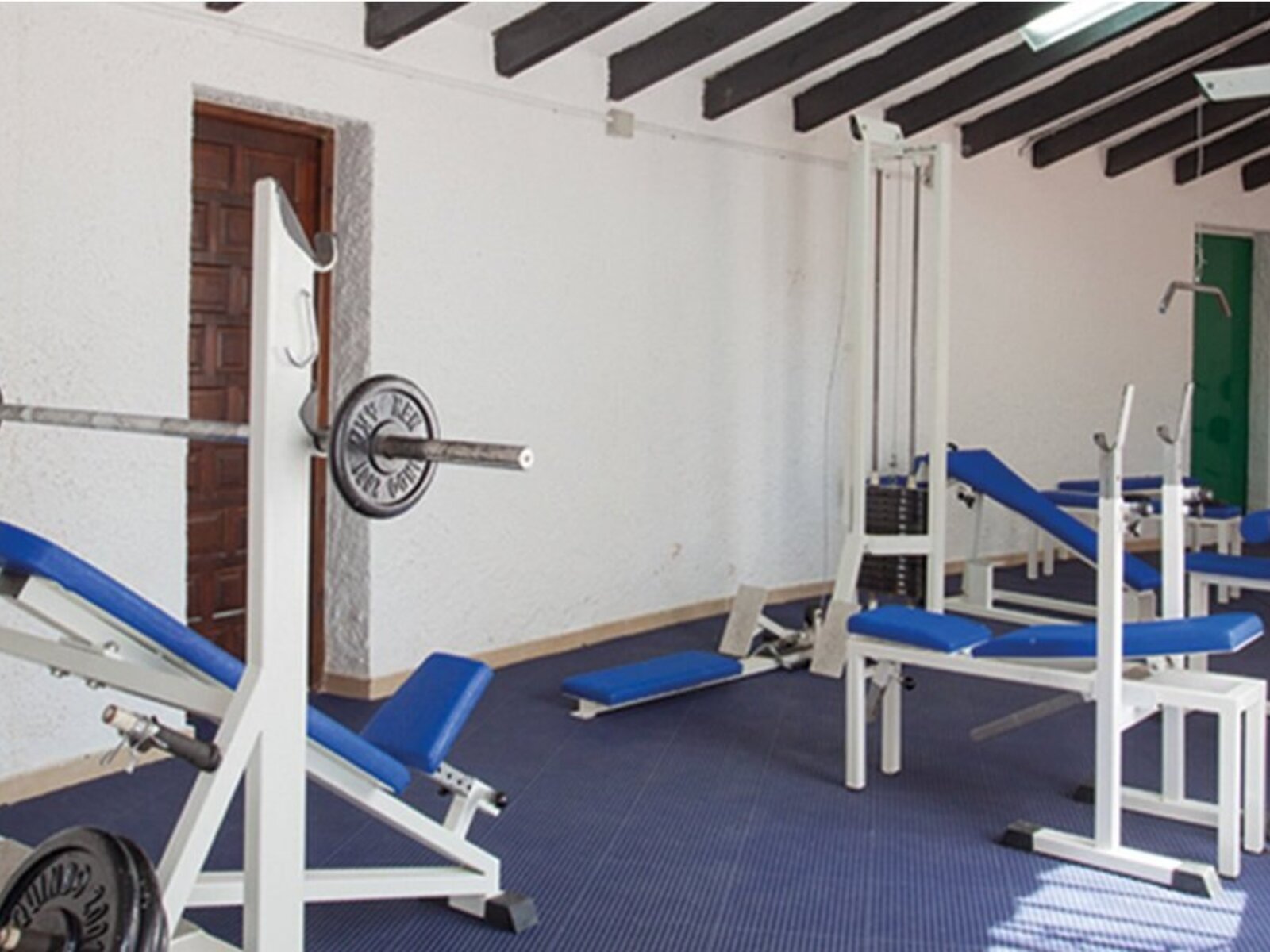 Sport