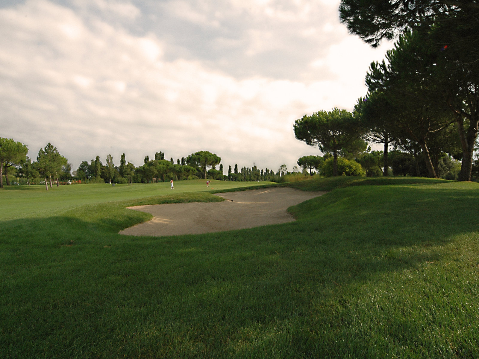 Golf