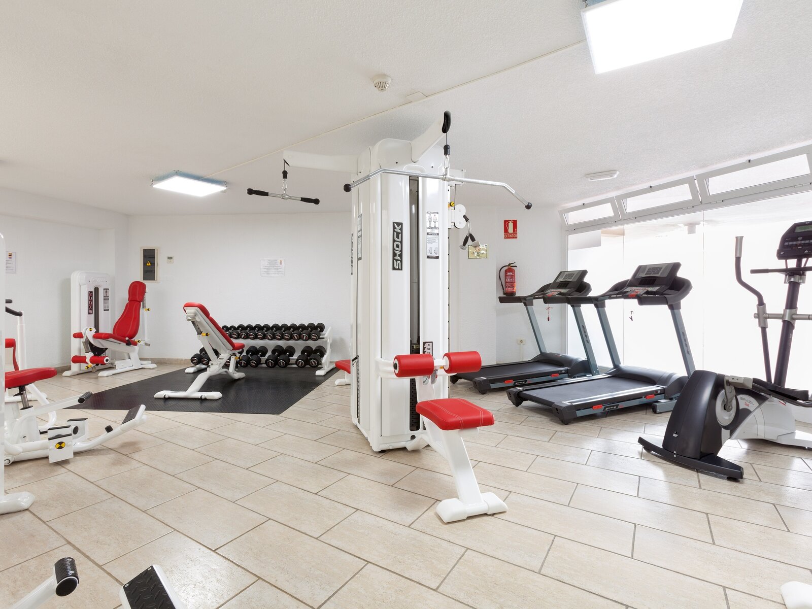 Sport