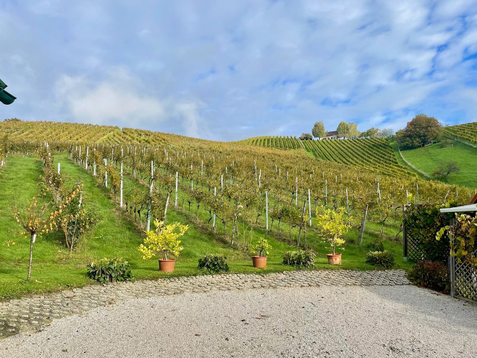 Landschaft