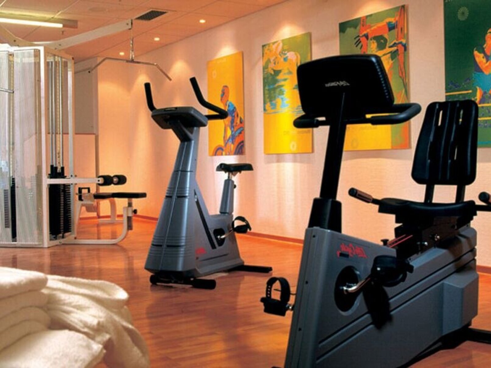 Sport