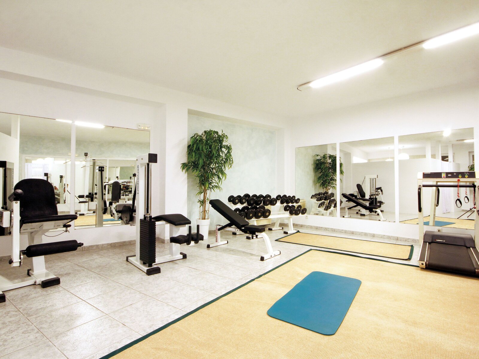 Sport
