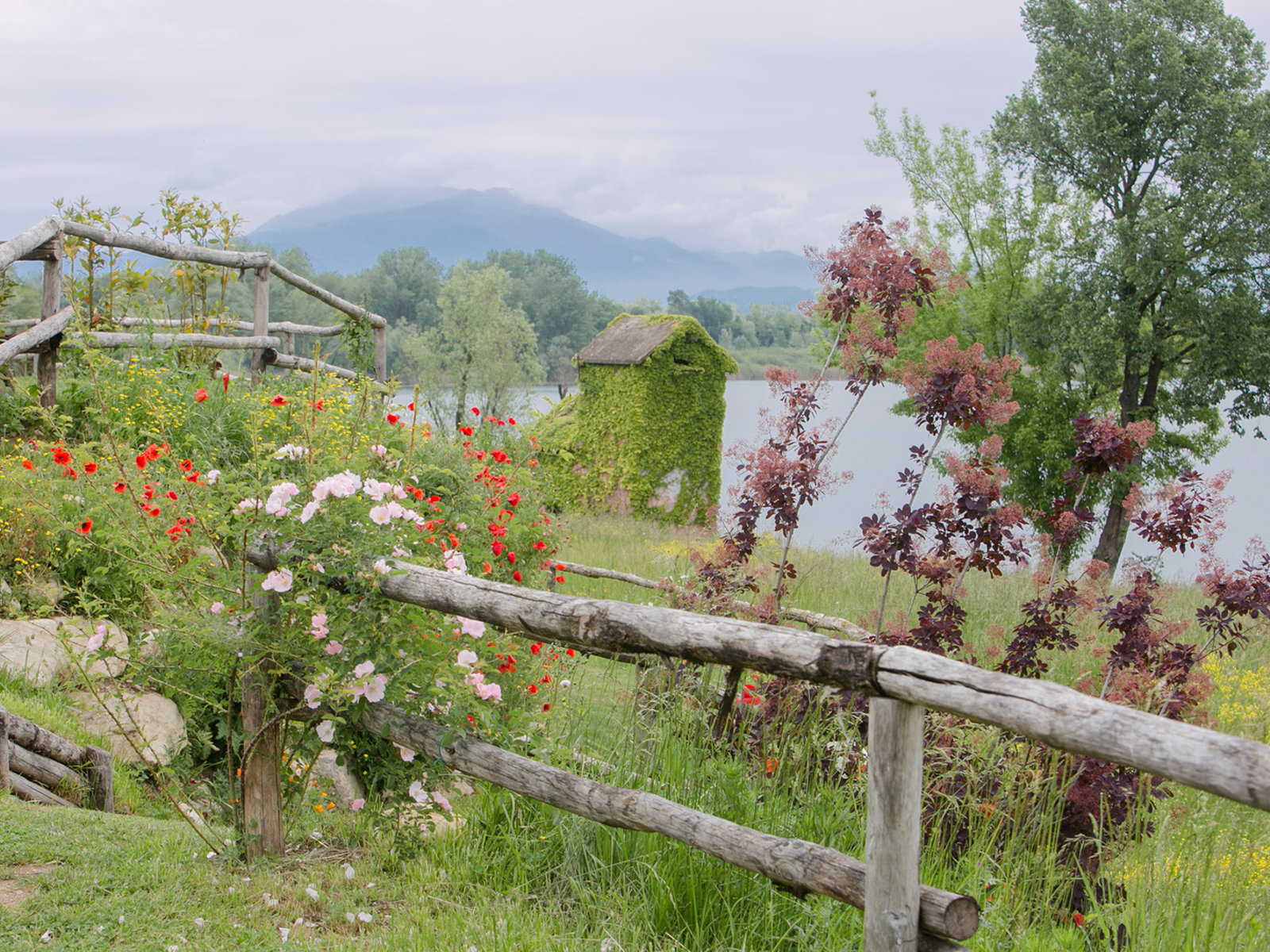 Landschaft