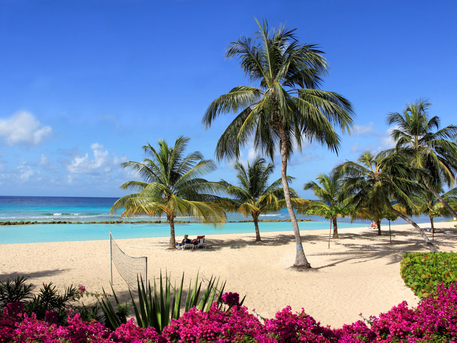Coconut Court Beach Hotel Beach