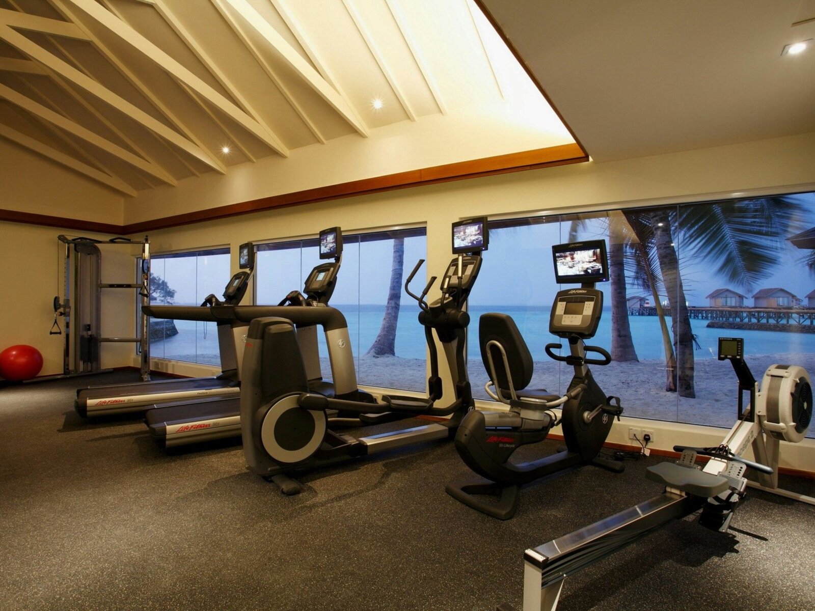 Sport