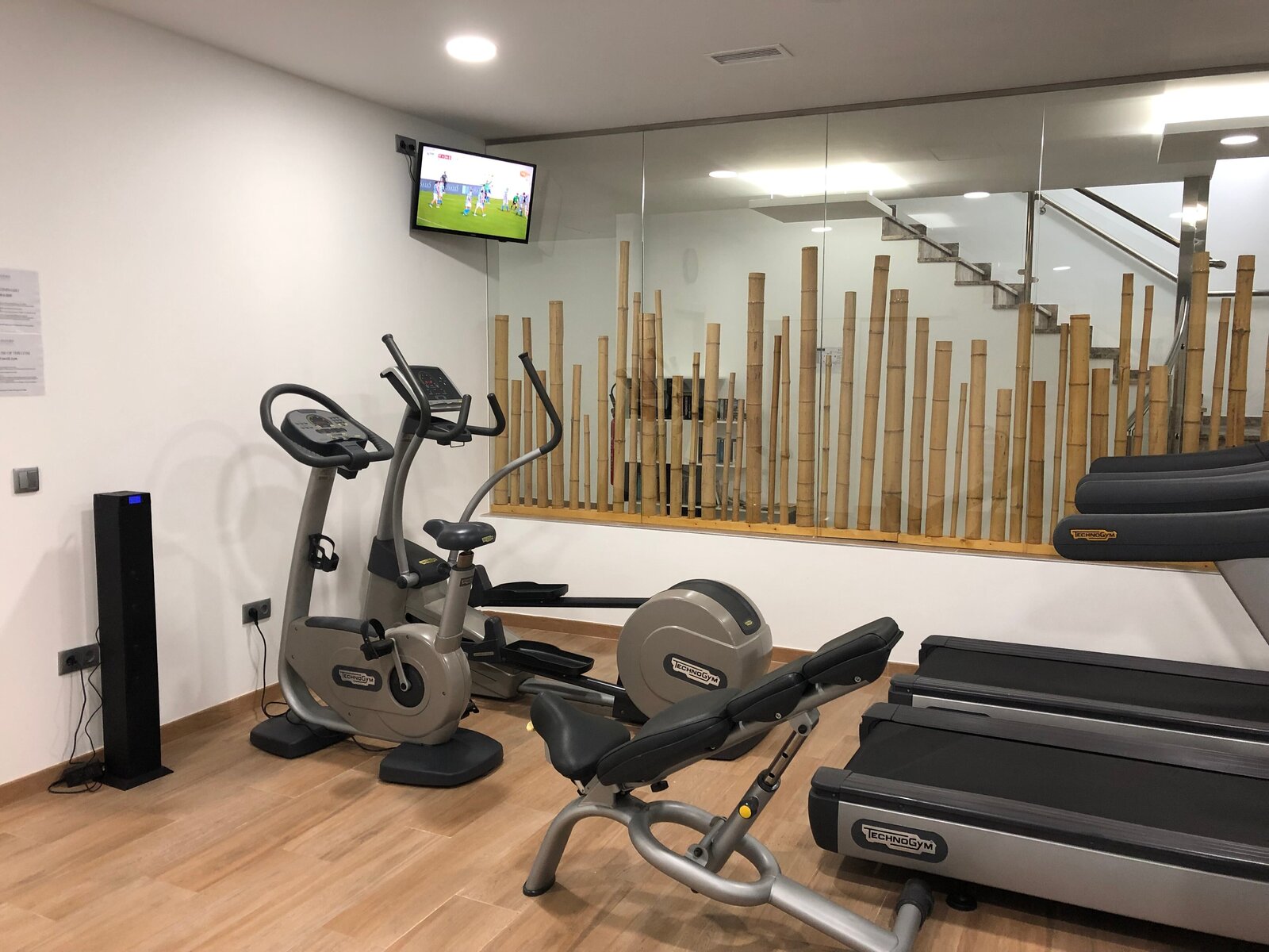 Sport