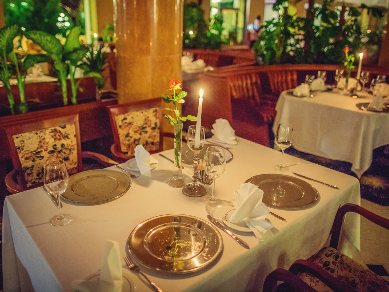 Green Restaurant / Restauracja Zielona