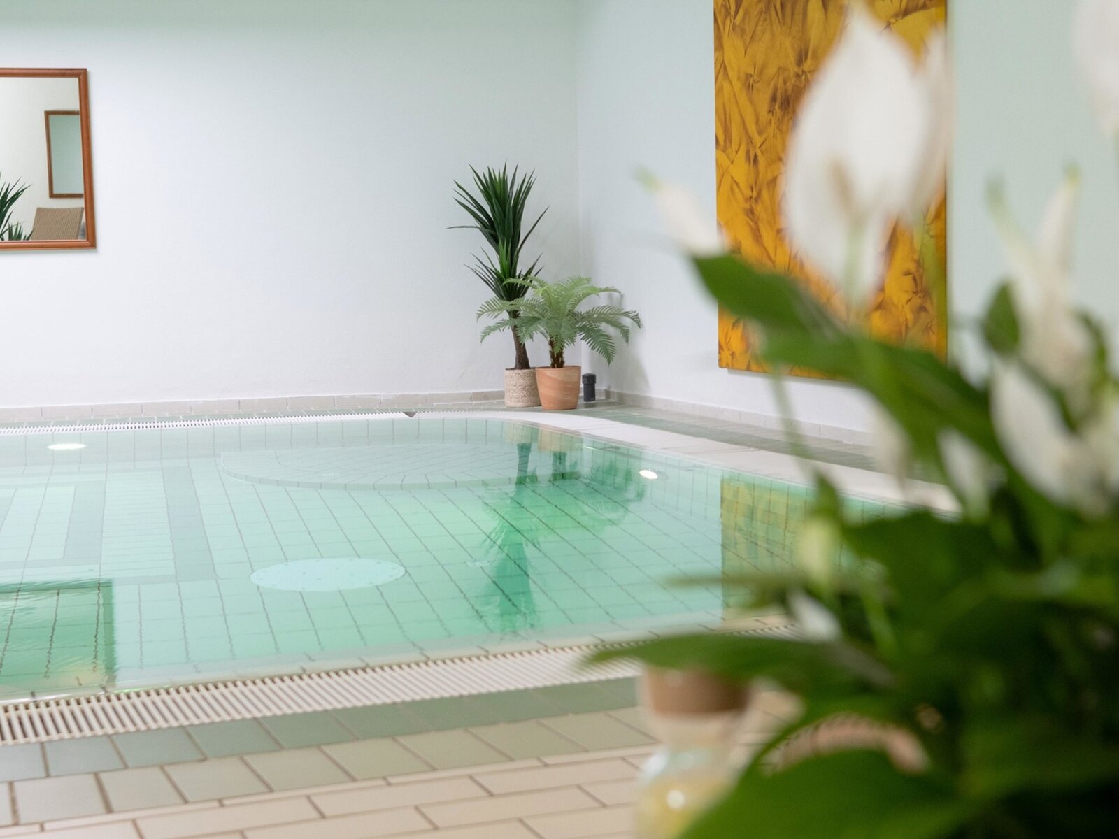 Wellness