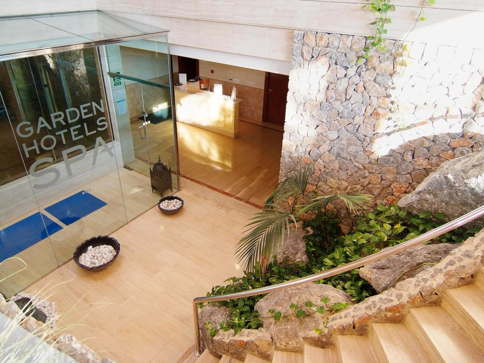 Wellness