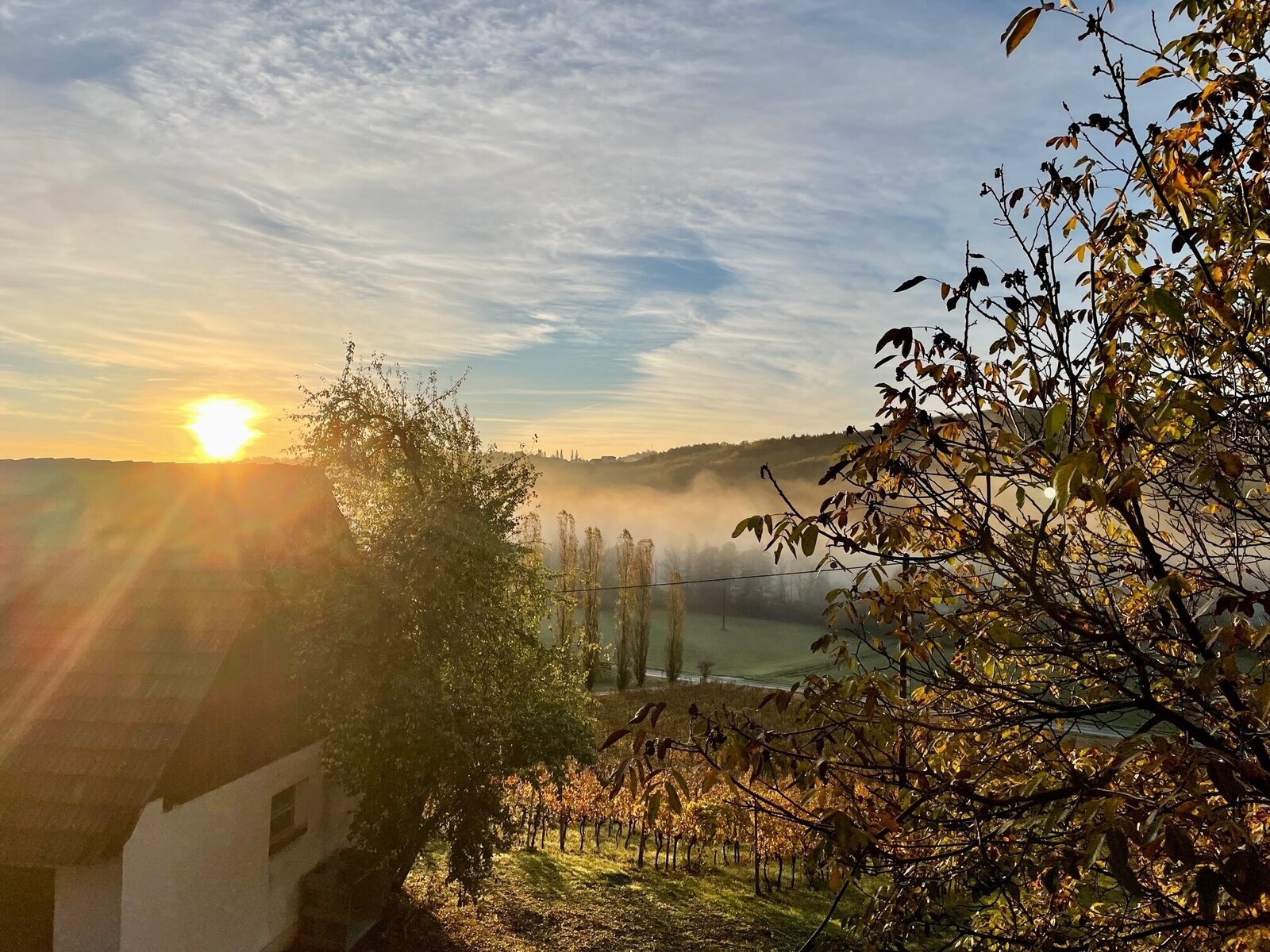 Landschaft
