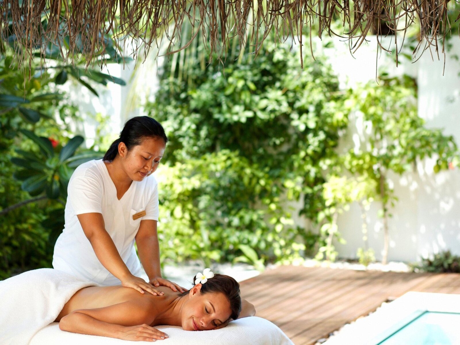 Wellness