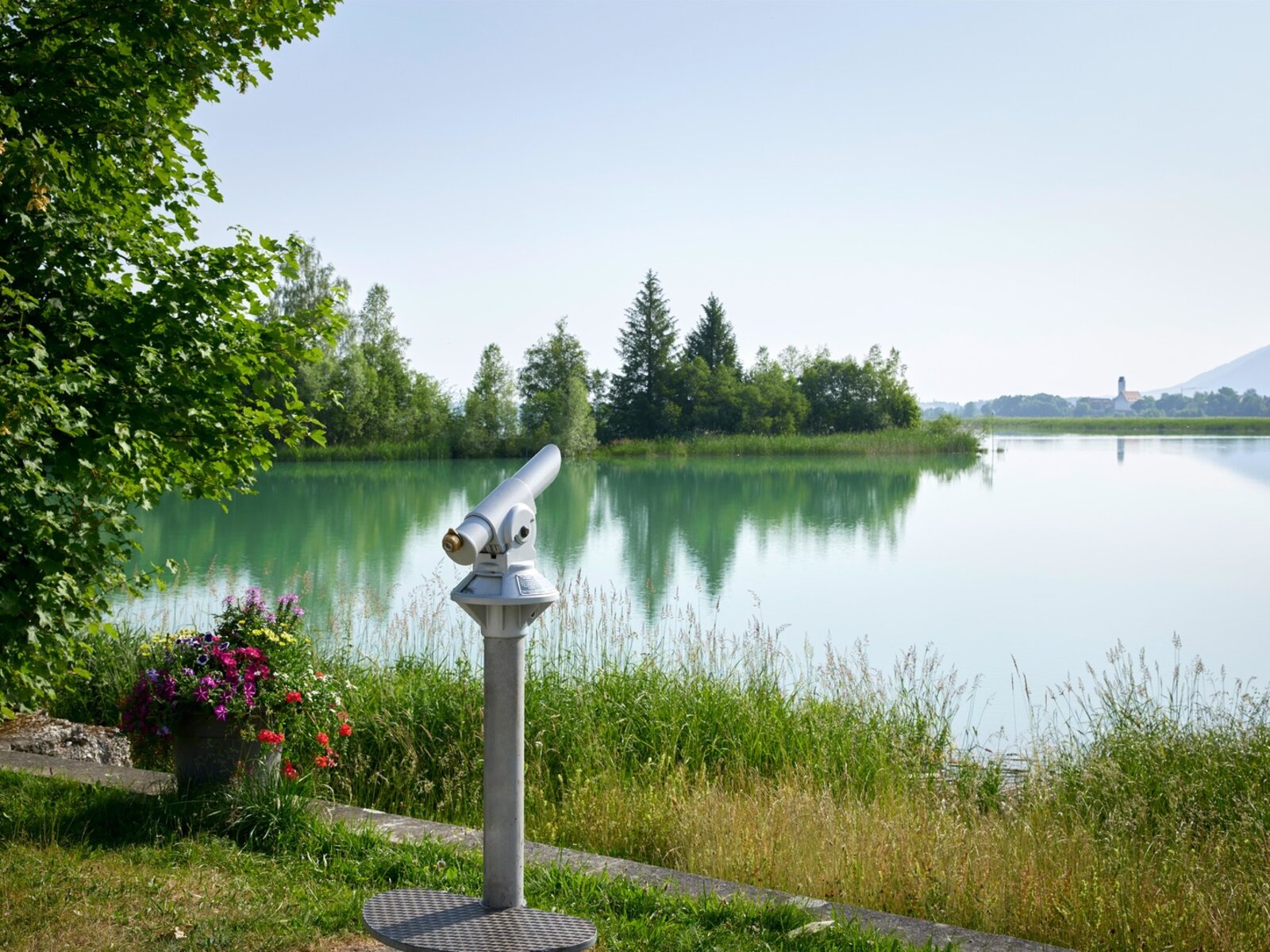 Forggensee