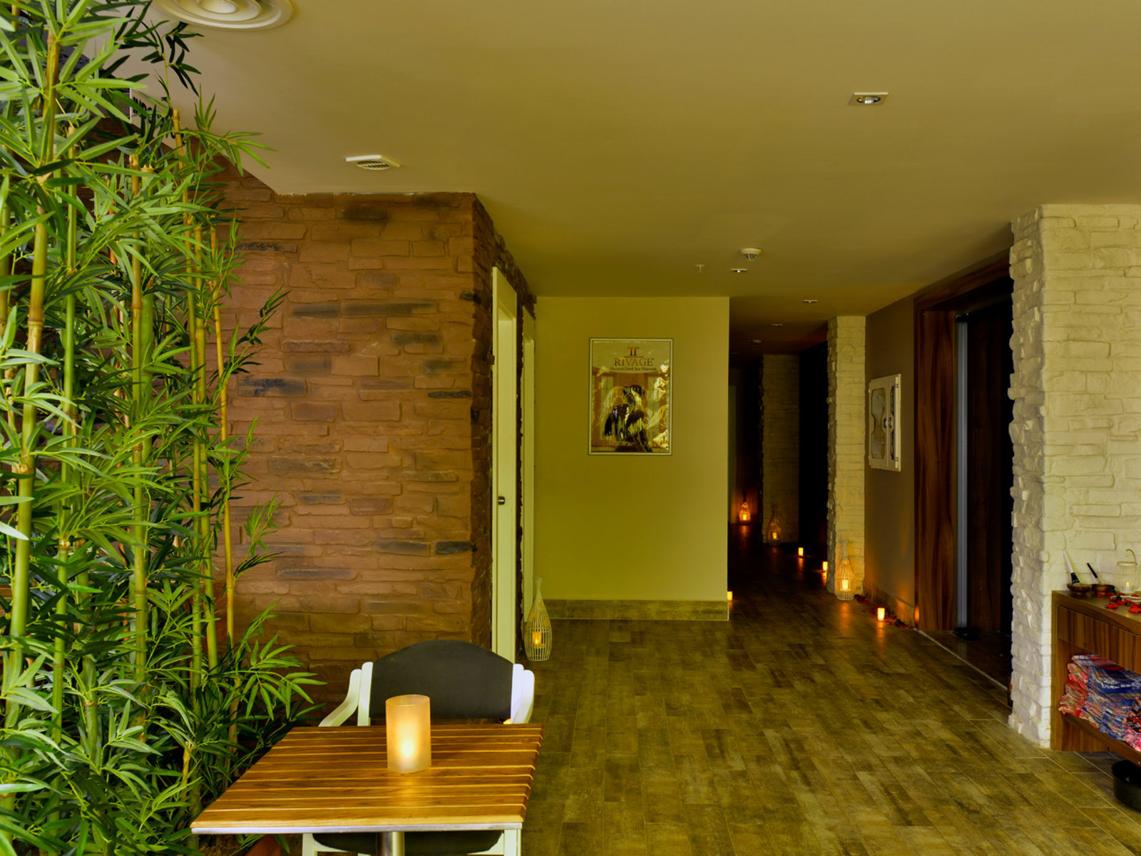Wellness
