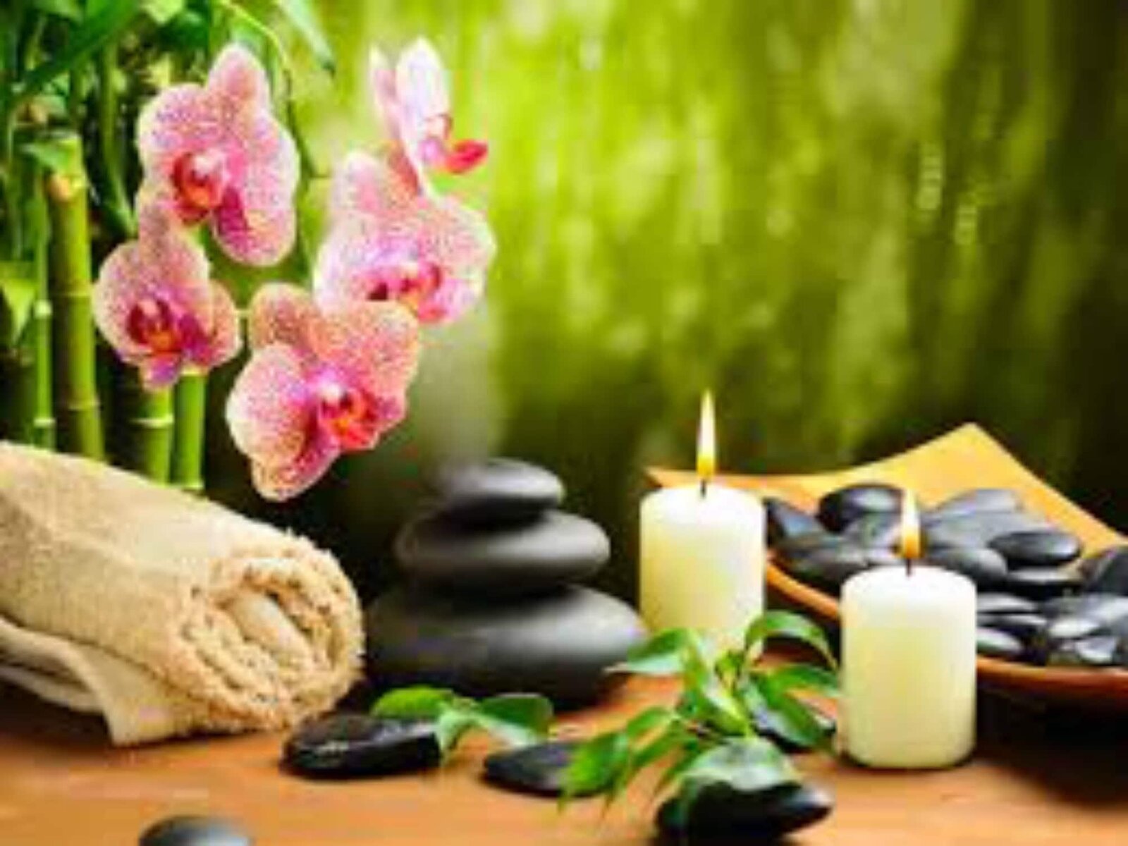 Wellness
