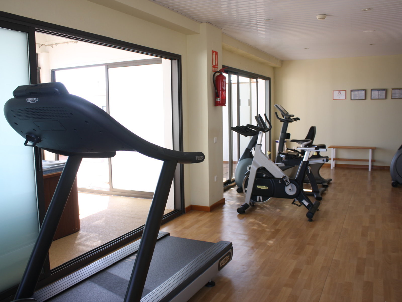 Sport