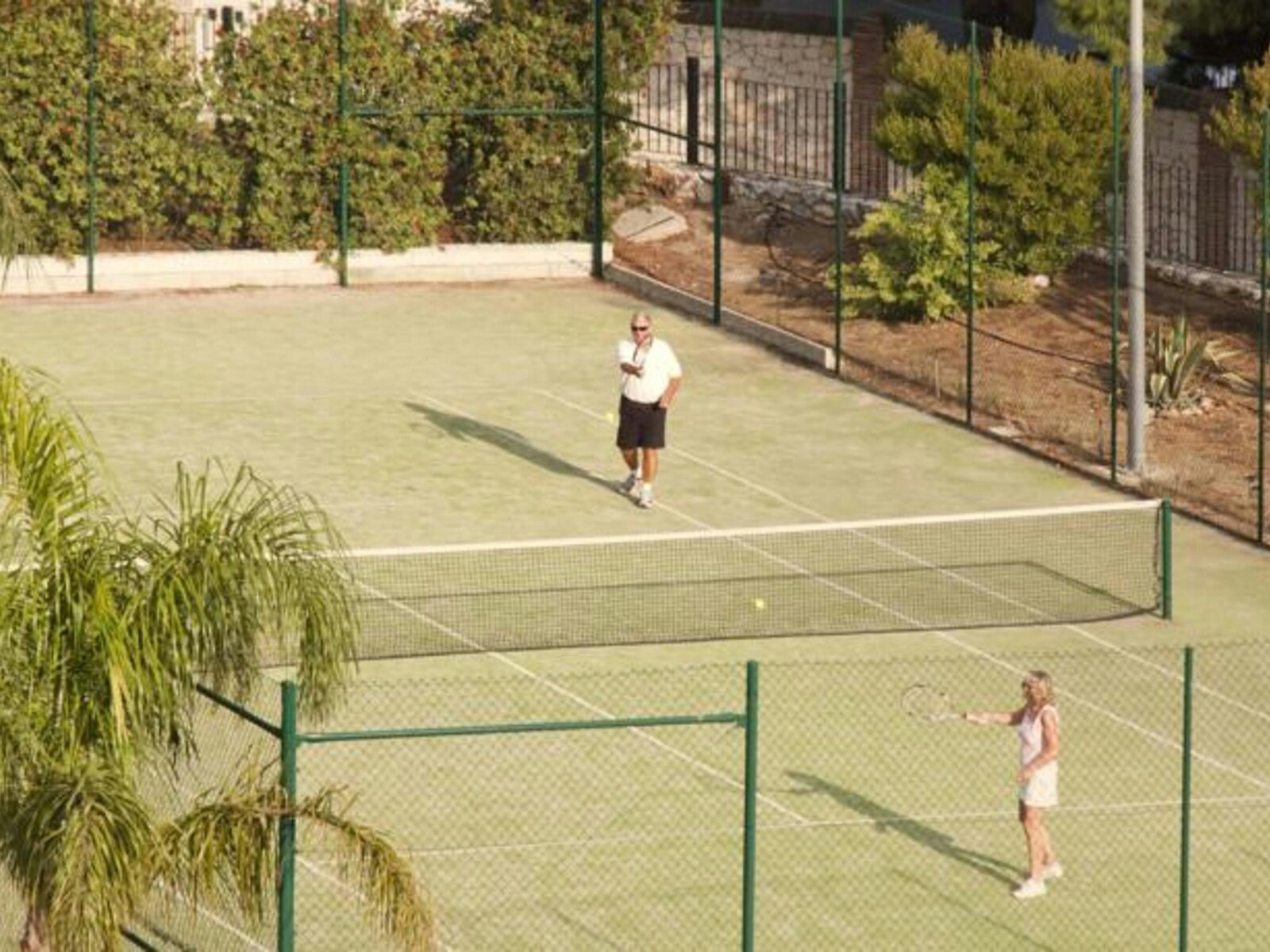 Sport