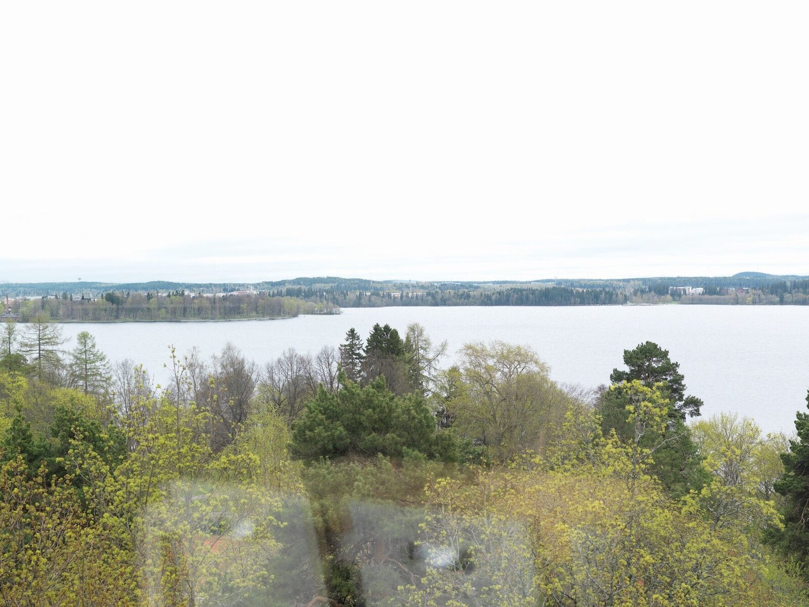 Landschaft