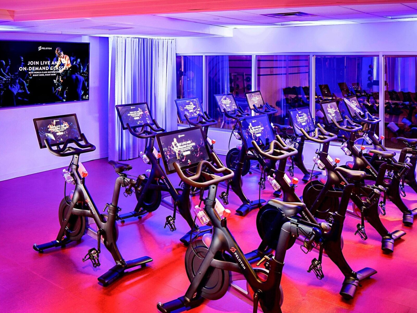 Sport