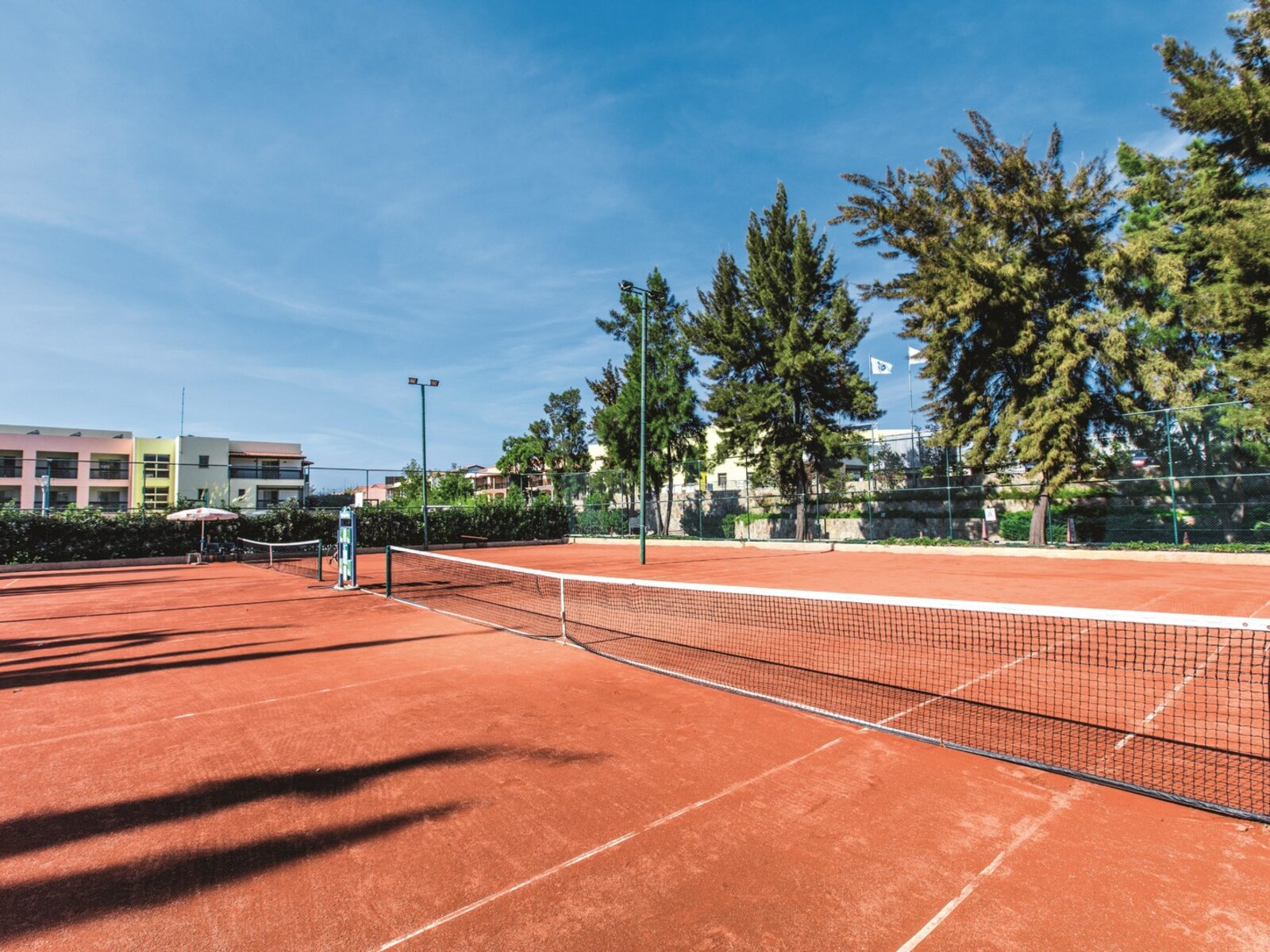 Sport