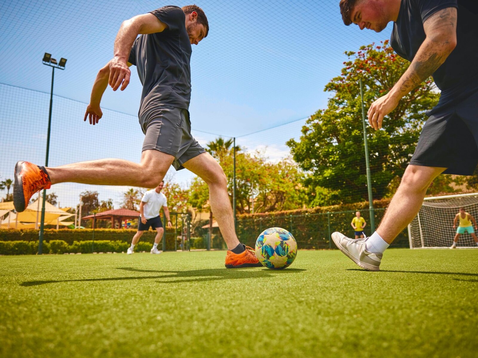 Sport
