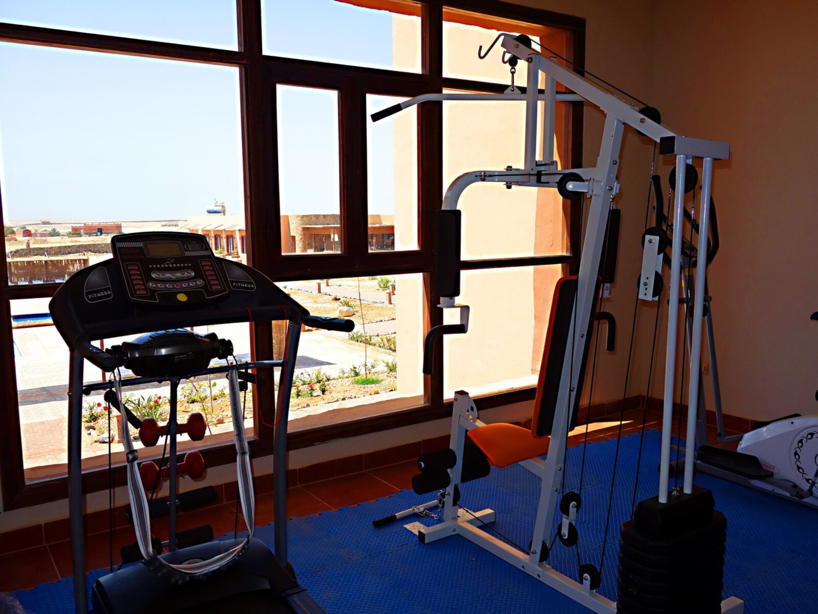 Sport