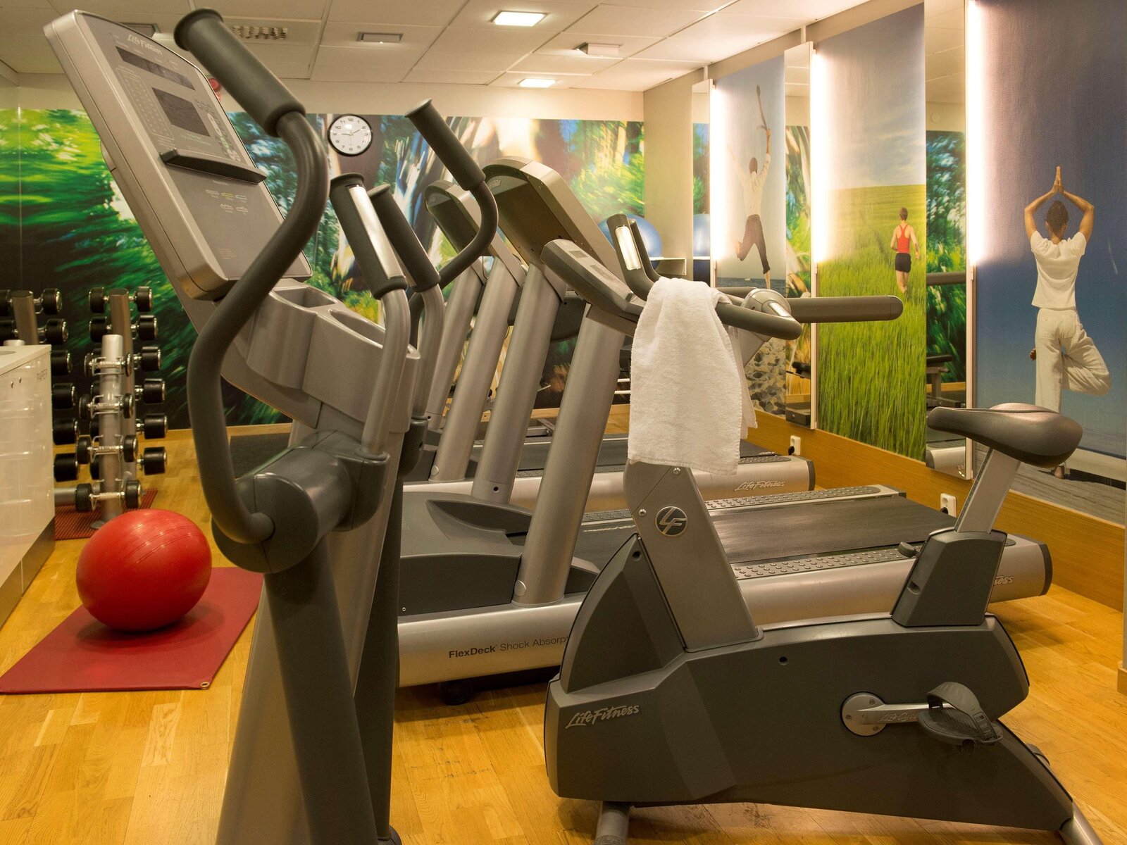 Sport