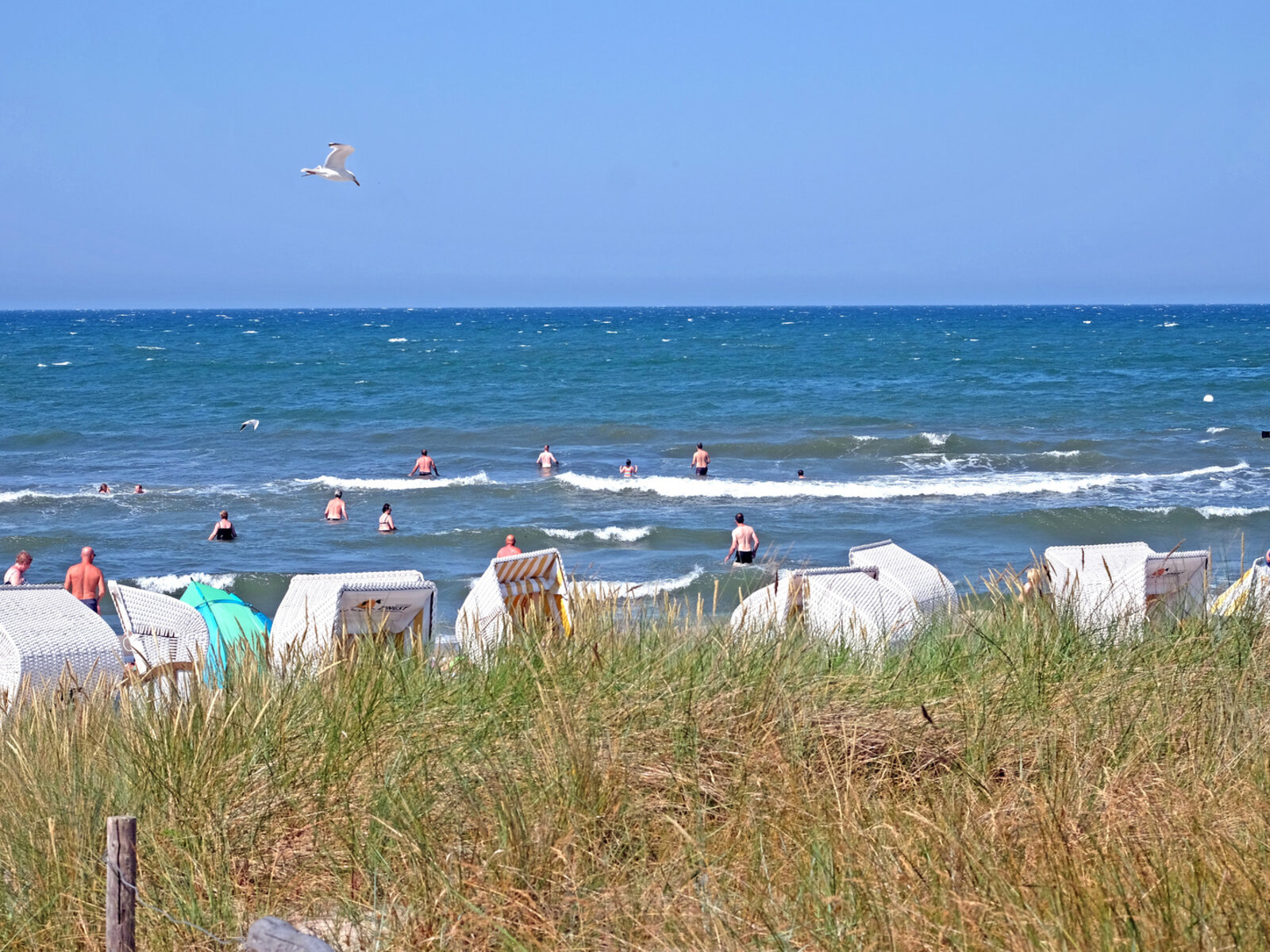 Strand