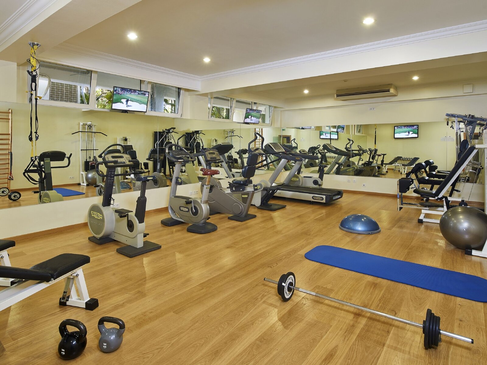 Sport