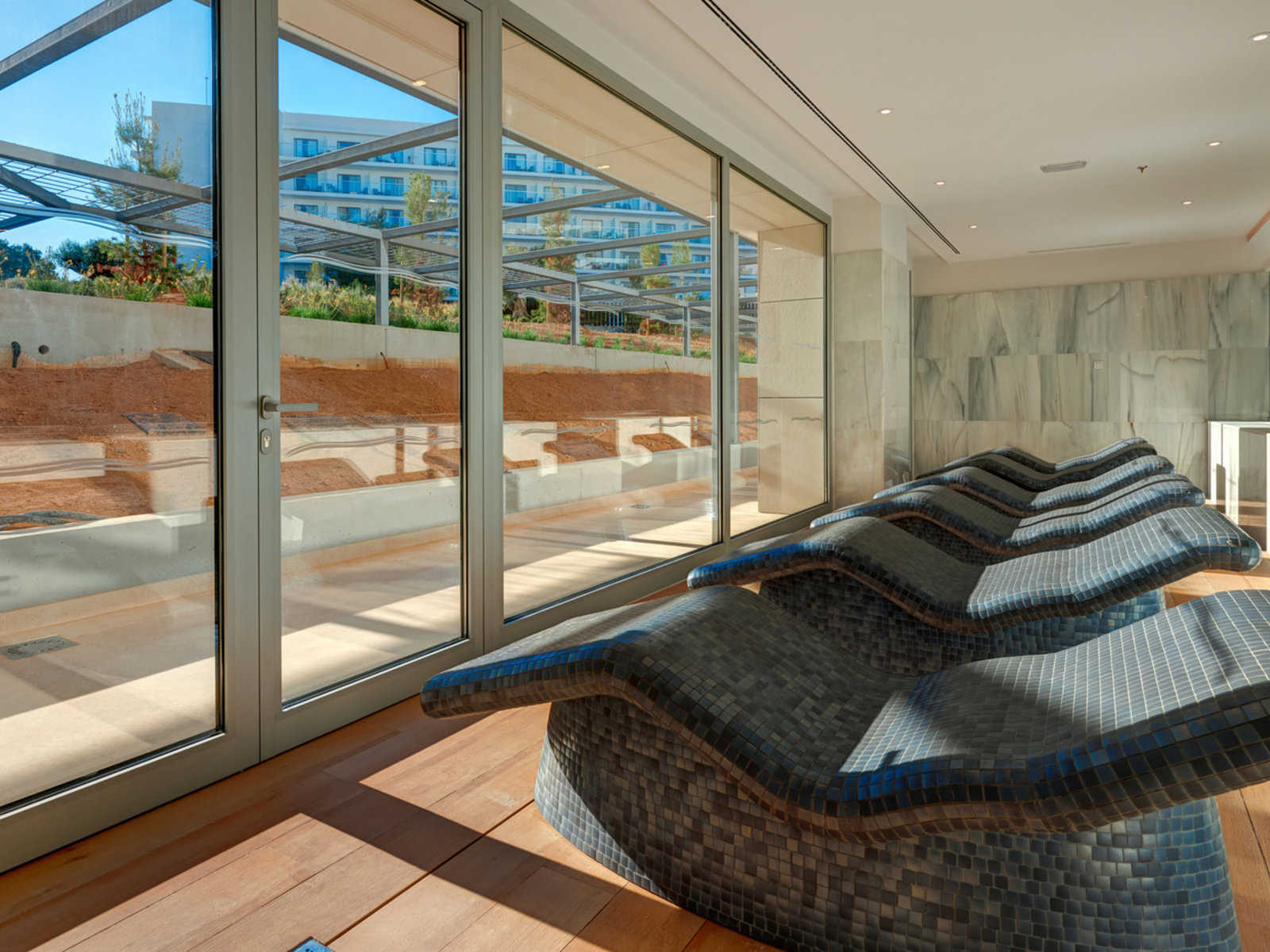 Wellness