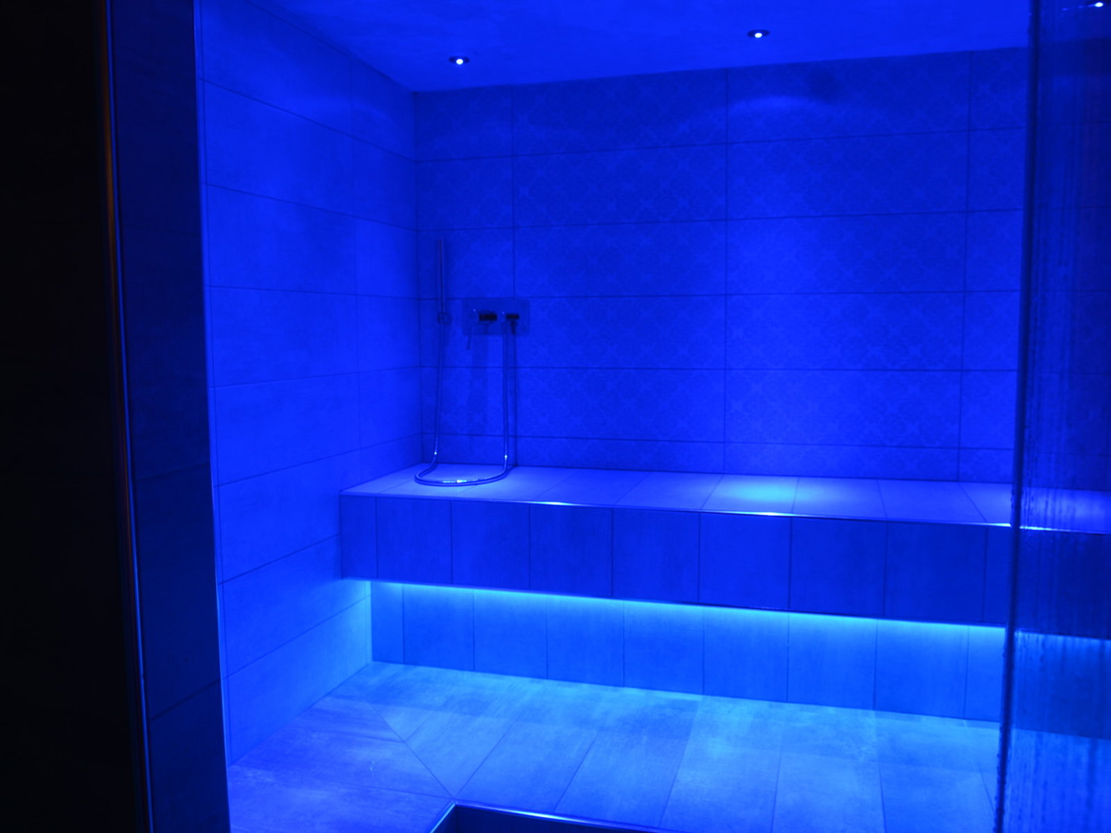 Wellness