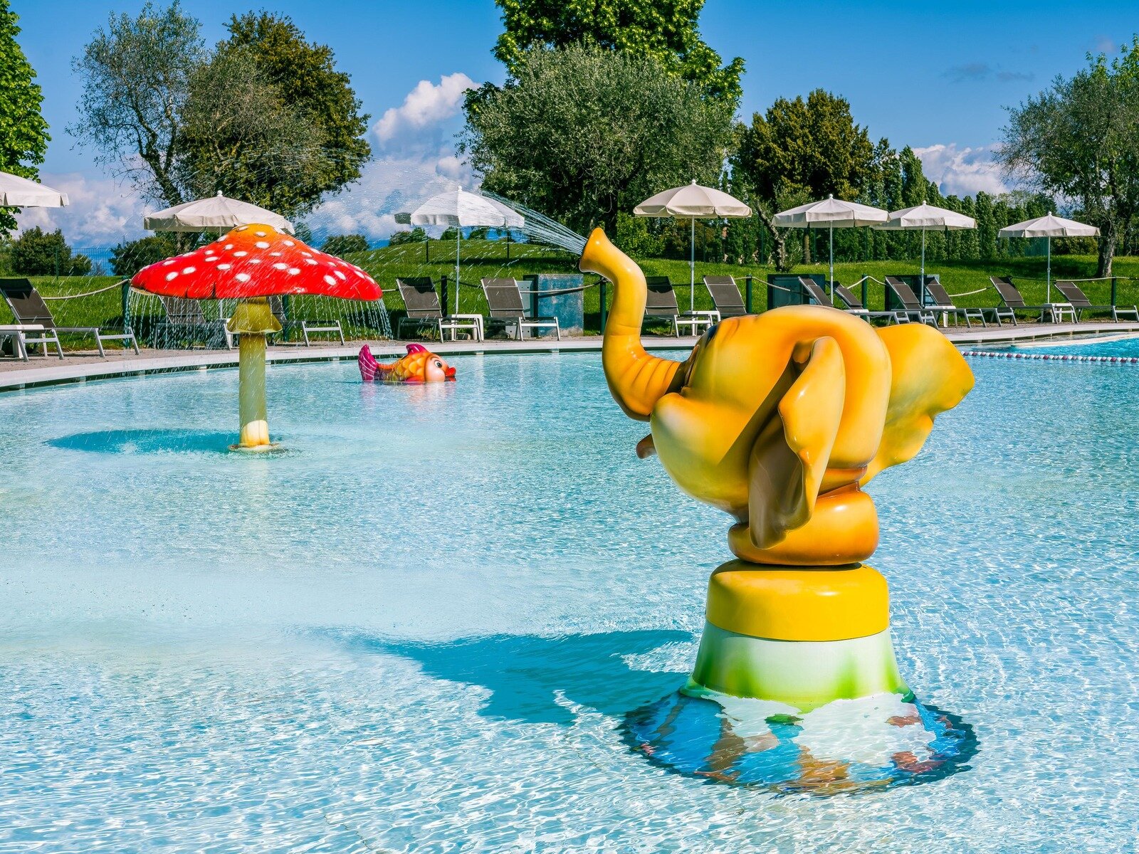 Wynnie The Pool