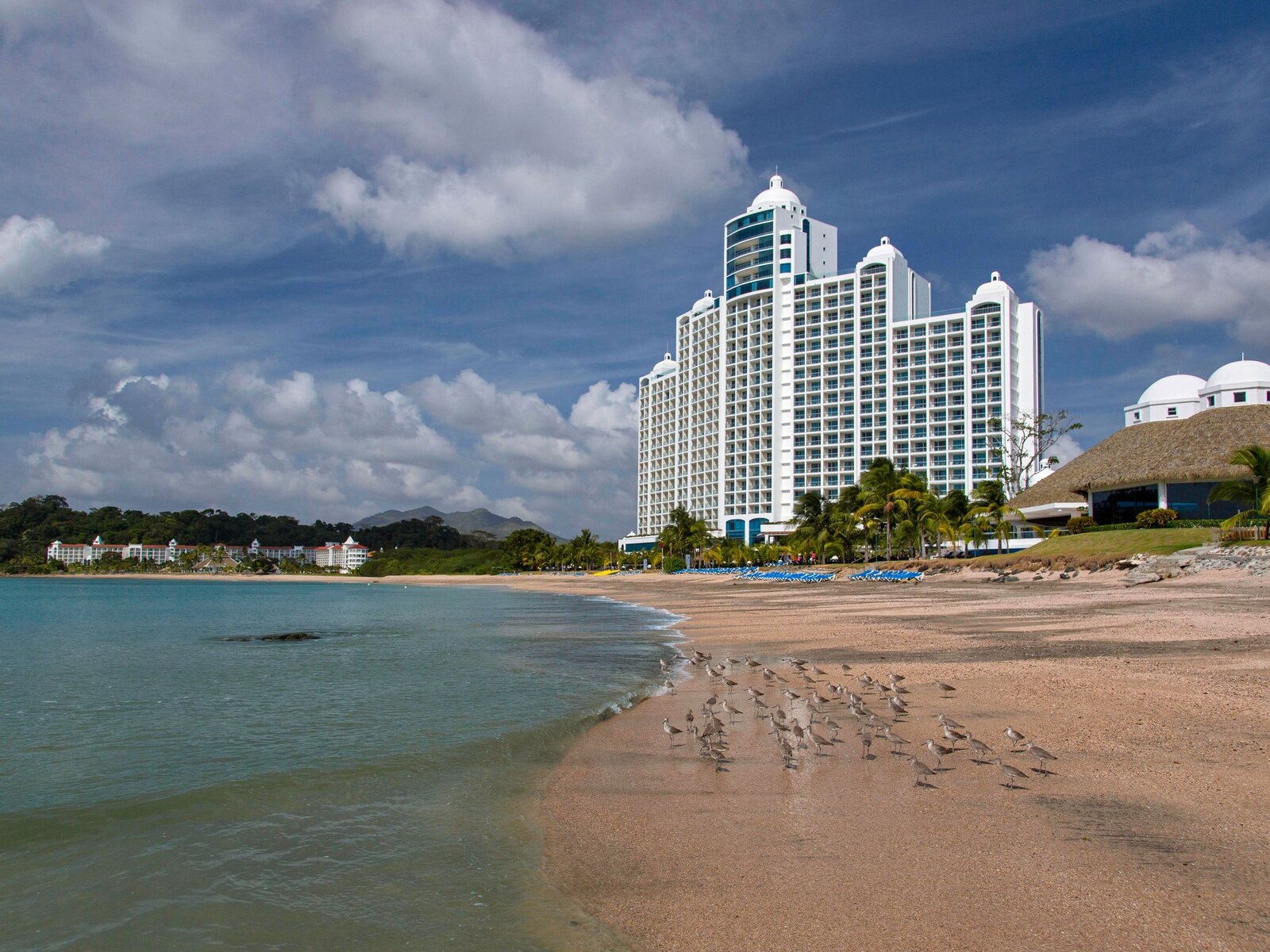 Strand
