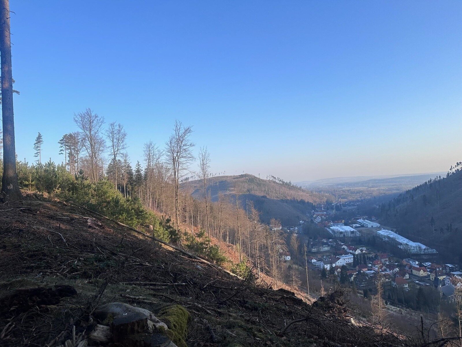 Landschaft