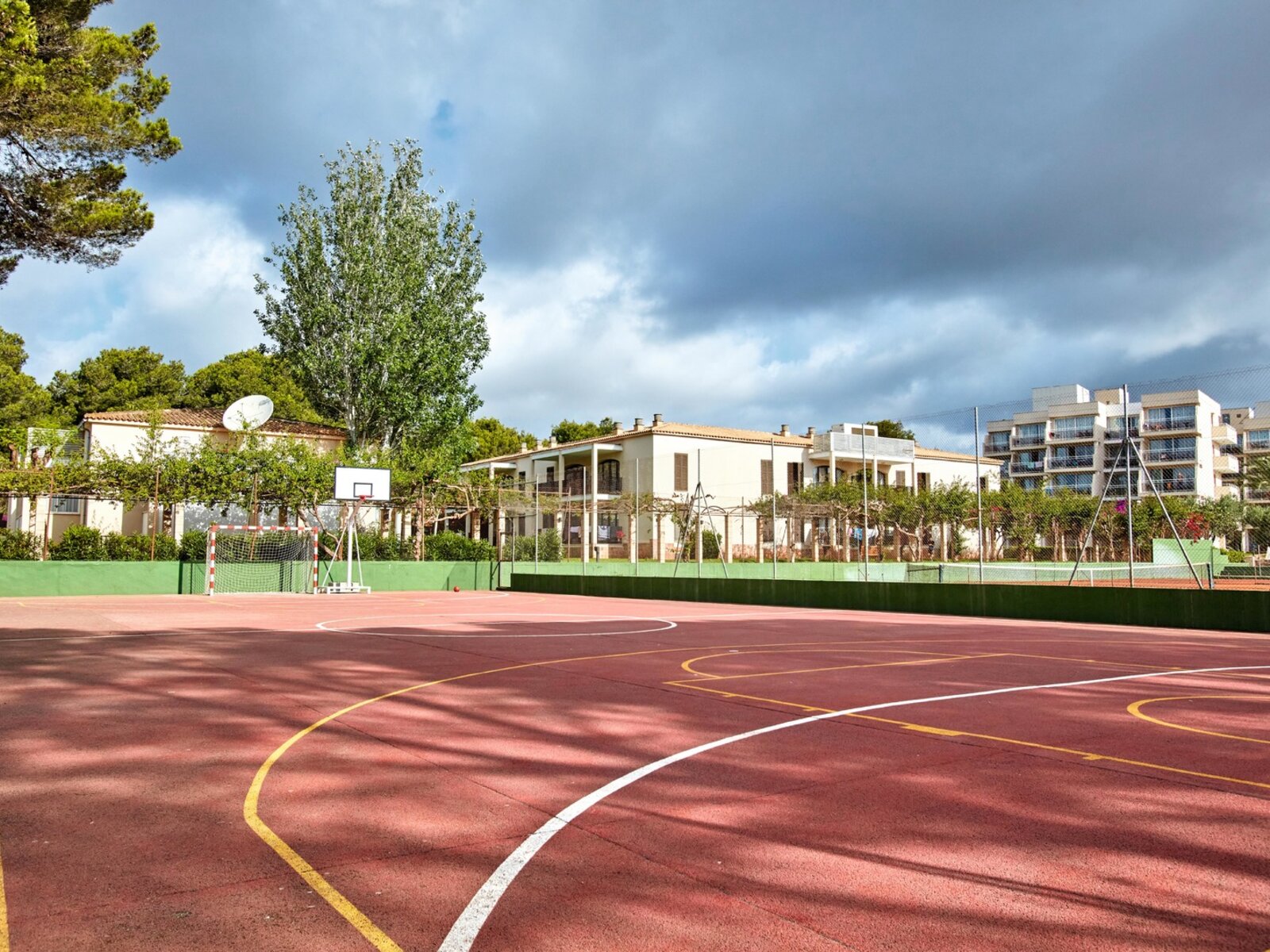 Sport