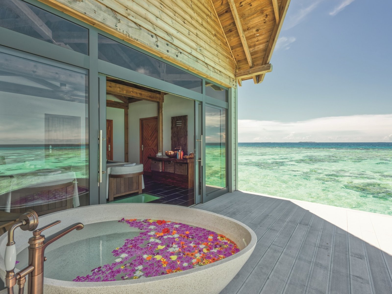 Wellness