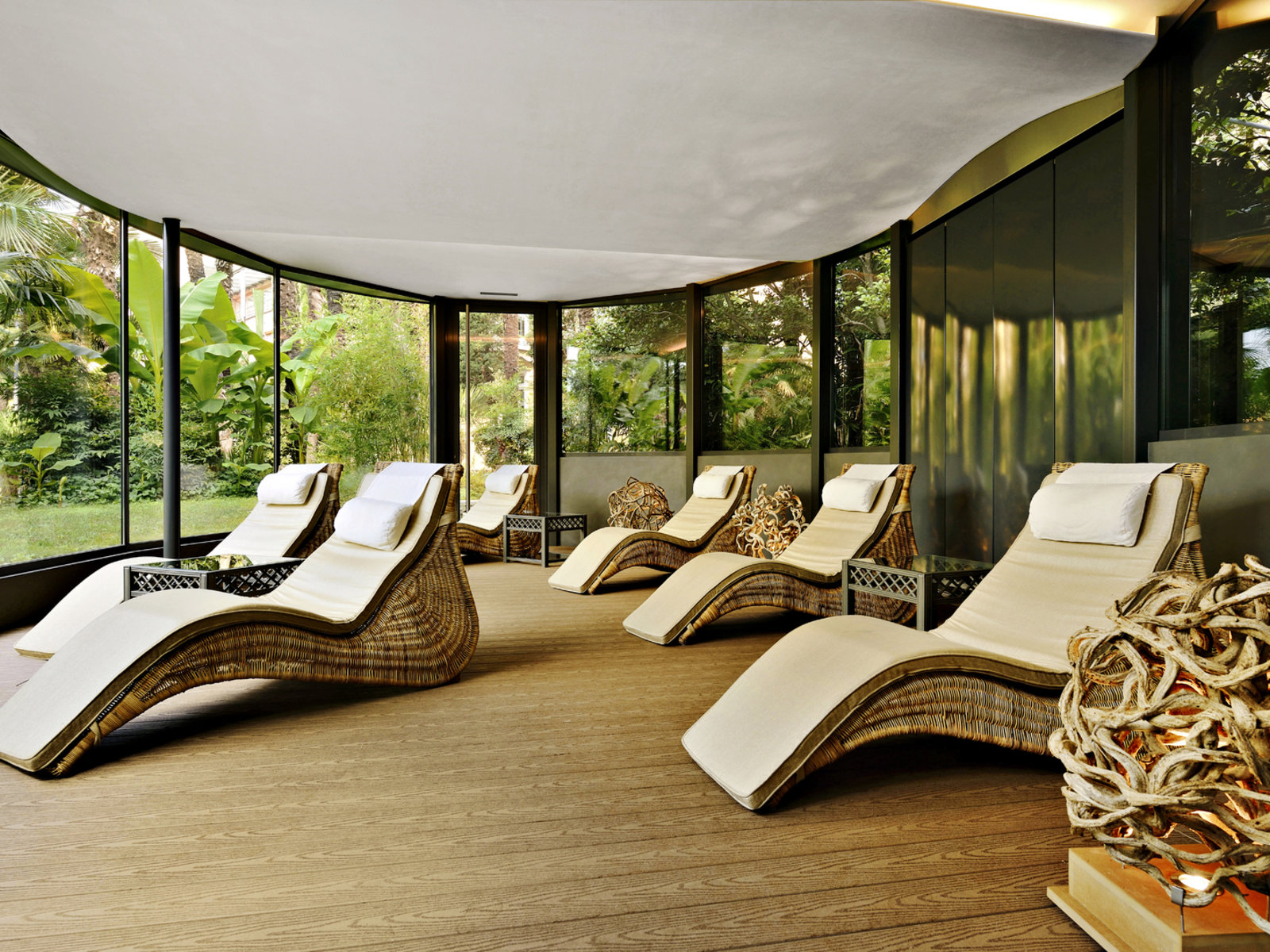 Wellness