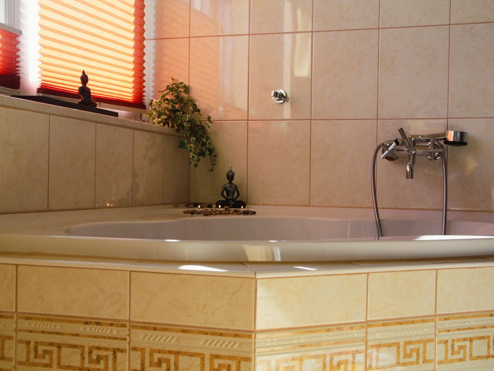 Wellness